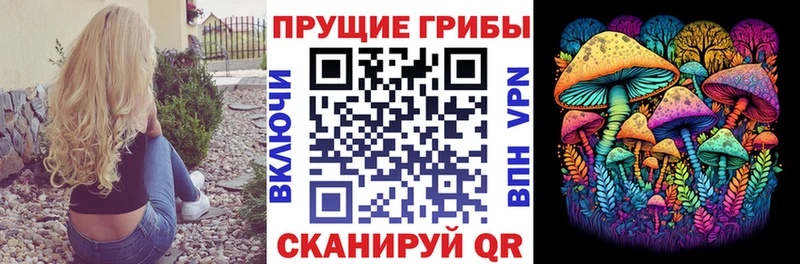 Псилоцибиновые грибы прущие грибы  продажа наркотиков  Воронеж 