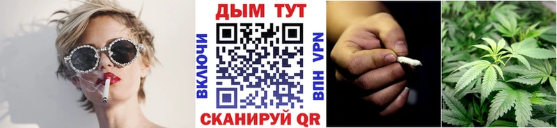 Бошки Шишки Amnesia  где продают   Воронеж 